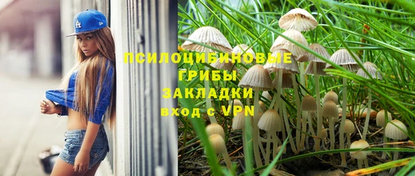 2c-b Армянск