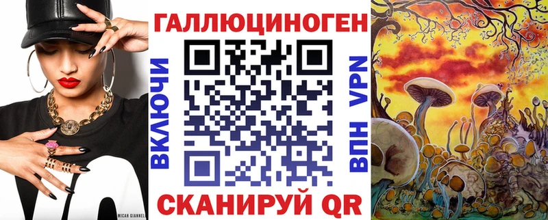 купить   Усть-Катав  Галлюциногенные грибы Psilocybine cubensis 